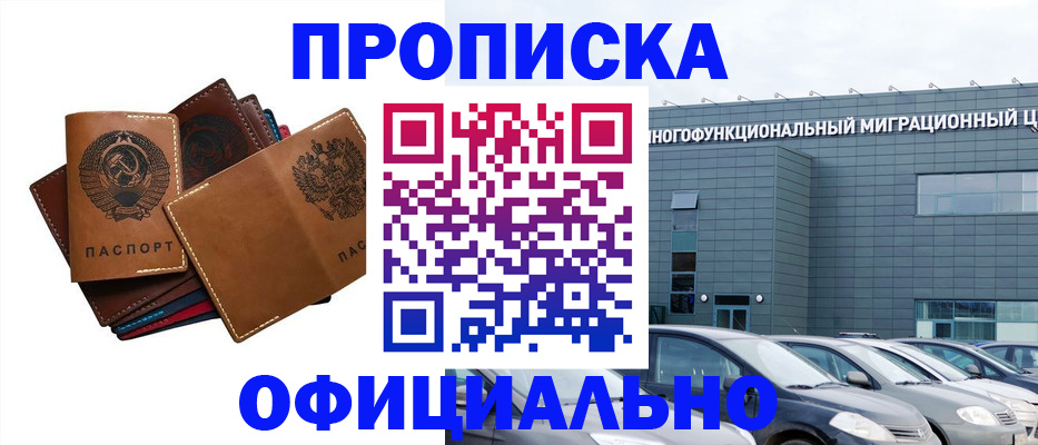 прописка в квартире в Никольском